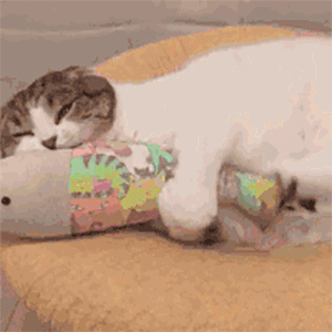 吃瓜表情包gif动图图片,趣味横生的网络文化现象