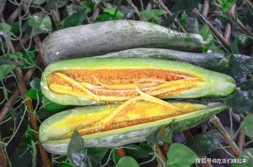 娱乐网红热点吃瓜